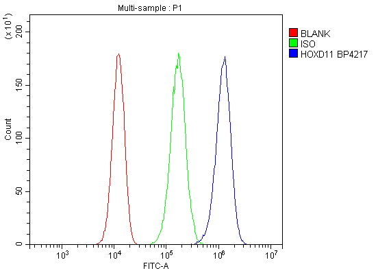 product-image-AAA19334_FCM7.png