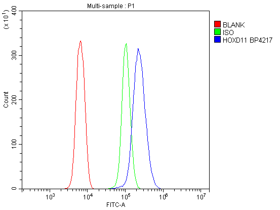 product-image-AAA19334_FCM8.png