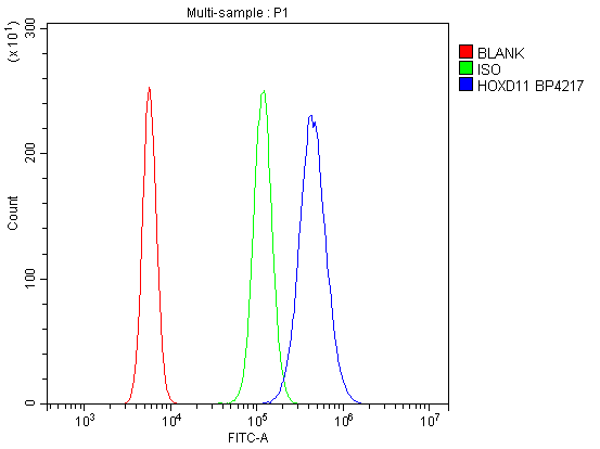 product-image-AAA19334_FCM9.png