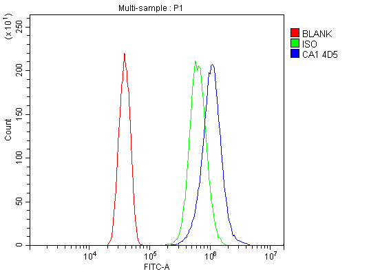 product-image-AAA19347_FCM9.png