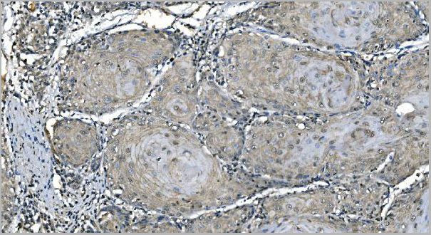 product-image-AAA19347_IHC7.jpg