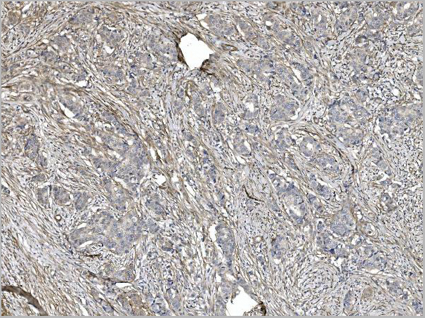 product-image-AAA19352_IHC7.jpg