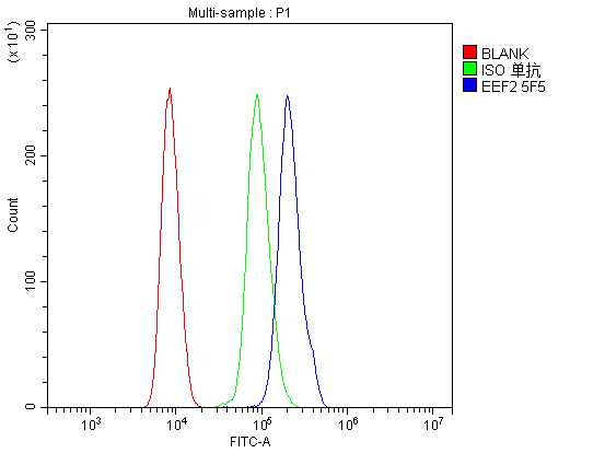 product-image-AAA19358_FCM8.png