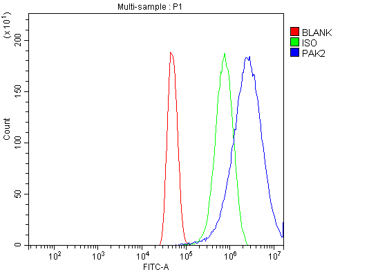 product-image-AAA19423_FCM7.jpg