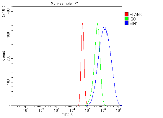 product-image-AAA19424_FCM6.png