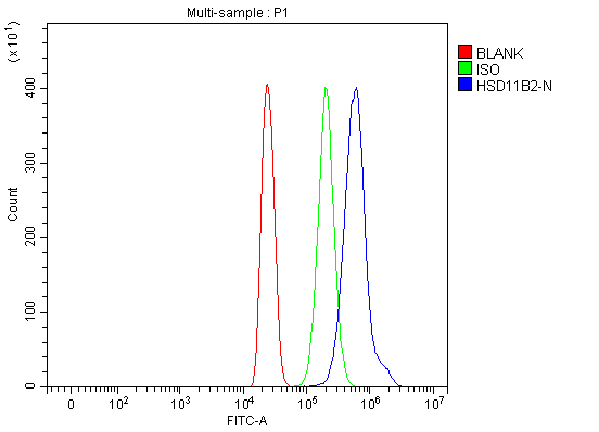 product-image-AAA19425_FCM8.png
