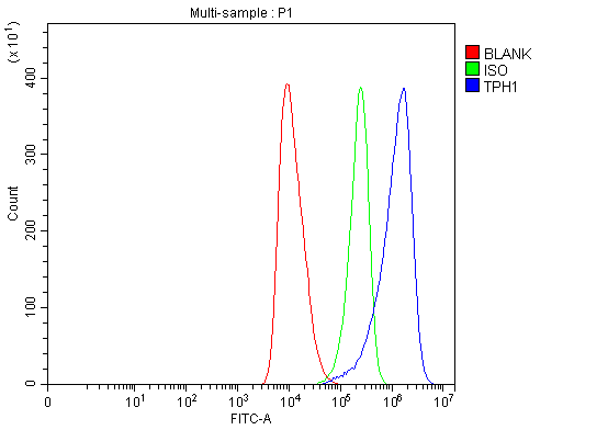product-image-AAA19426_FCM6.png