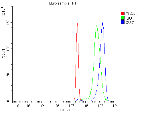 product-image-AAA19427_FCM6.png