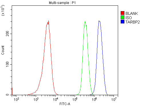 product-image-AAA19428_FCM7.jpg