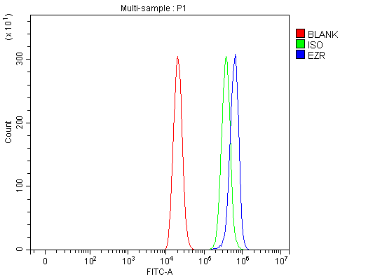product-image-AAA19430_FCM7.png