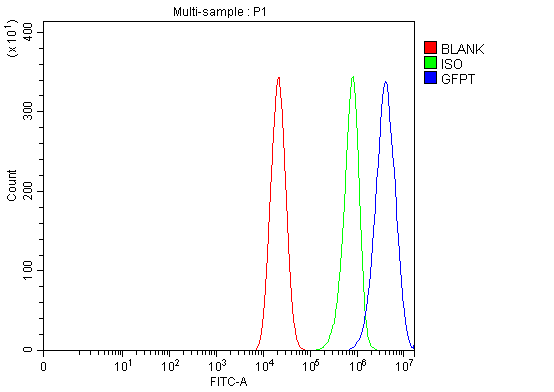 product-image-AAA19514_FCM9.png