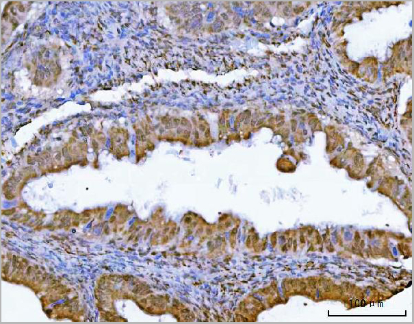 product-image-AAA19630_IHC5.jpg