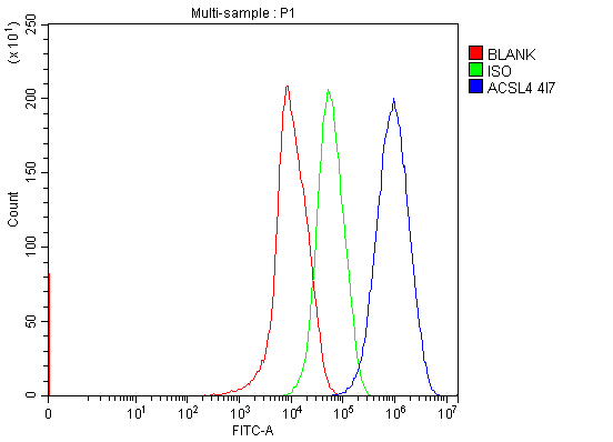 product-image-AAA19713_FCM7.png