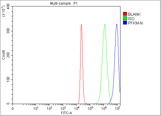 product-image-AAA19735_FCM13.png