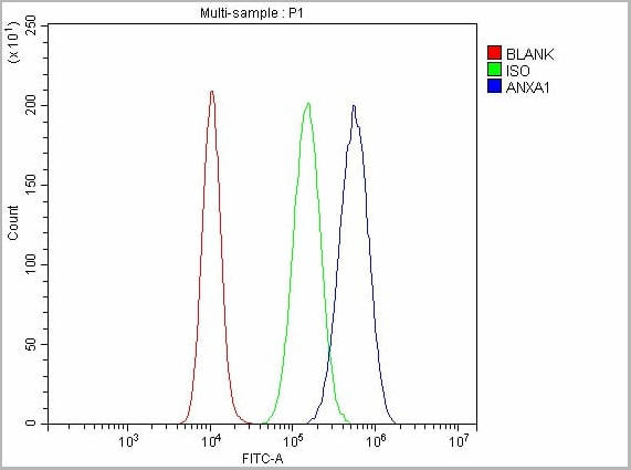 product-image-AAA19749_FCM12.jpg