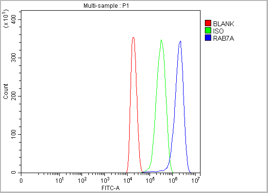product-image-AAA19775_FCM19.png