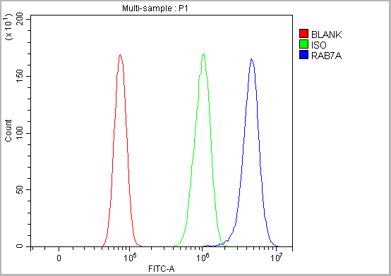 product-image-AAA19775_FCM20.png
