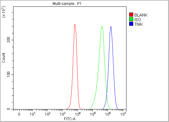 product-image-AAA19803_FCM15.png
