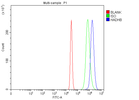 product-image-AAA19823_FCM13.png