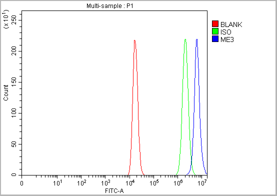 product-image-AAA19835_FCM12.png