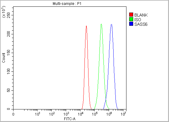 product-image-AAA19852_FCM15.png