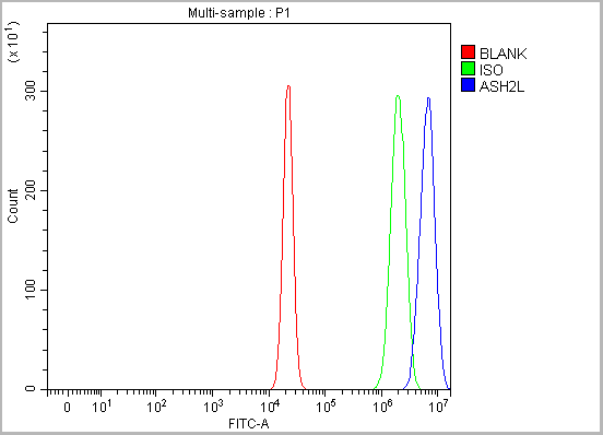 product-image-AAA19861_FCM18.png