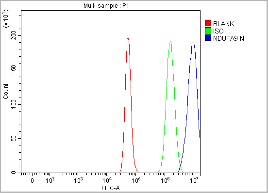 product-image-AAA19886_FCM15.png