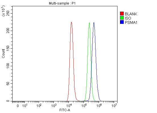 product-image-AAA19890_FCM7.png