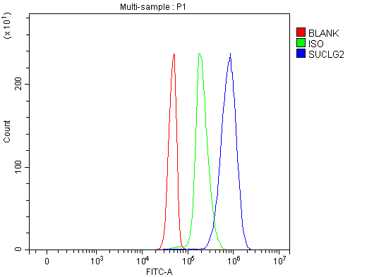 product-image-AAA19901_FCM14.jpg
