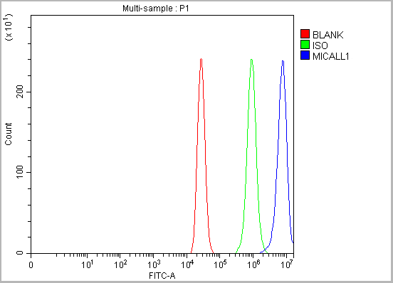 product-image-AAA19933_FCM14.png