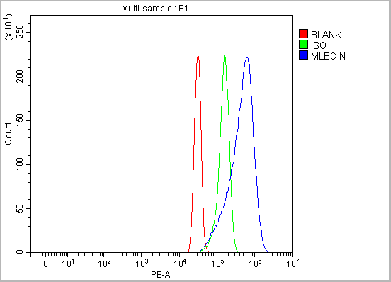 product-image-AAA19945_FCM11.png