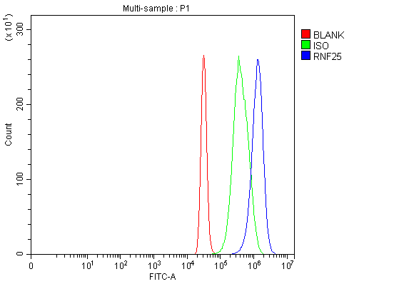 product-image-AAA19946_FCM12.png