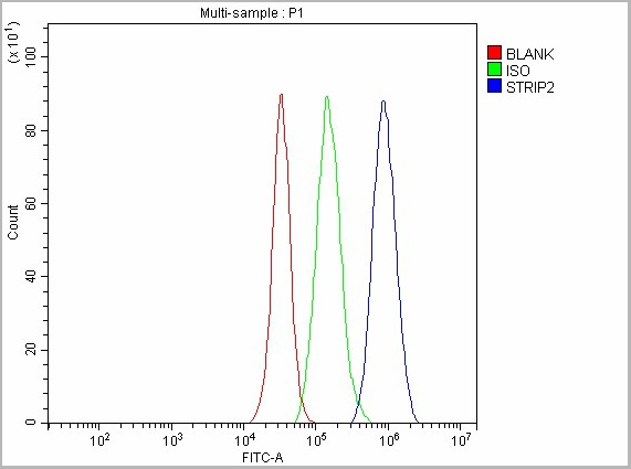 product-image-AAA19969_FCM8.jpg