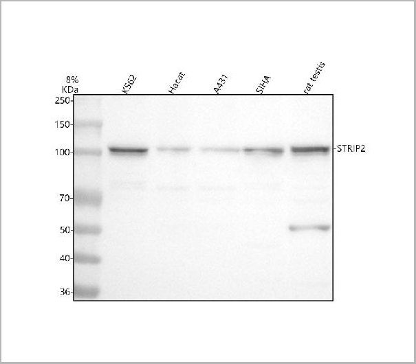 product-image-AAA19969_WB.jpg