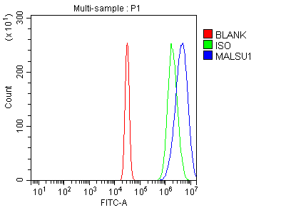 product-image-AAA19975_FCM12.png