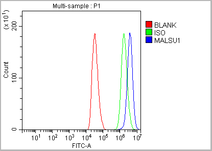 product-image-AAA19975_FCM13.png