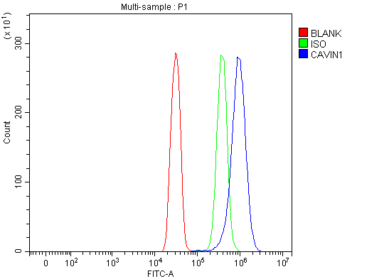 product-image-AAA20011_FCM14.jpg