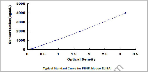 product-image-AAA20051_SC.jpg