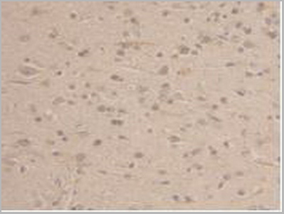 product-image-AAA20122_IHC7.jpg