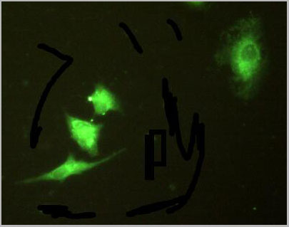product-image-AAA20173_IHC7.jpg