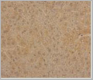 product-image-AAA20174_IHC2.jpg