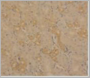product-image-AAA20174_IHC4.jpg