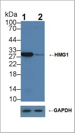 product-image-AAA20189_KO6.jpg