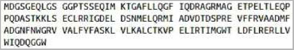 product-image-AAA20202_SEQUENCE.jpg