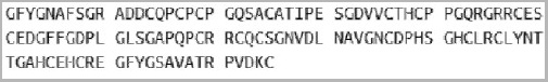 product-image-AAA20229_SEQUENCE2.jpg