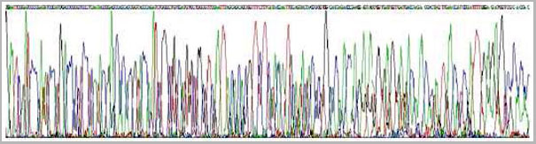 product-image-AAA20241_GS2.jpg
