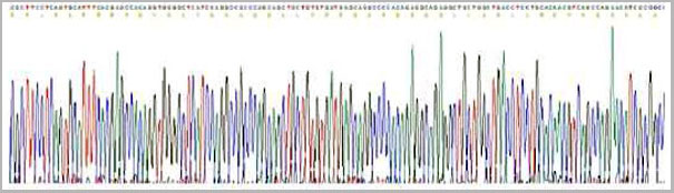 product-image-AAA20324_GS2.jpg