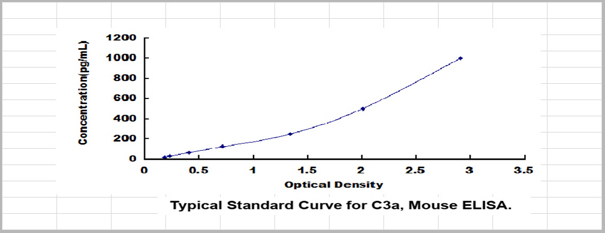 product-image-AAA20355_SC.jpg