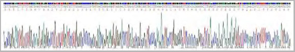 product-image-AAA20980_SEQUENCE.jpg