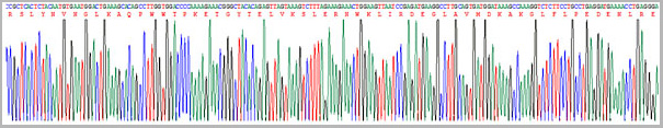product-image-AAA20987_SEQUENCE.jpg